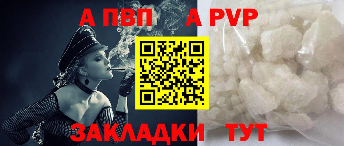 Alfa_PVP СК Люберцы