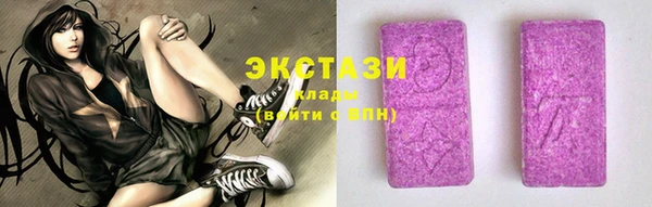 гашик Инта