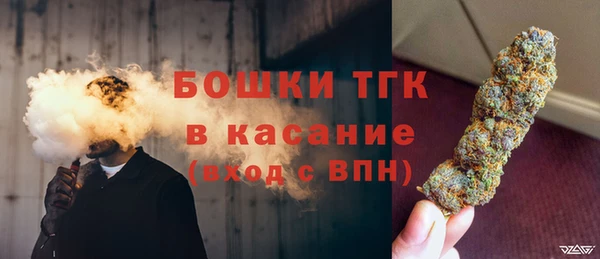 гашик Инта