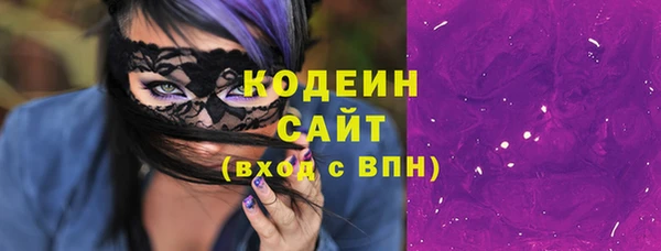 spice Инсар