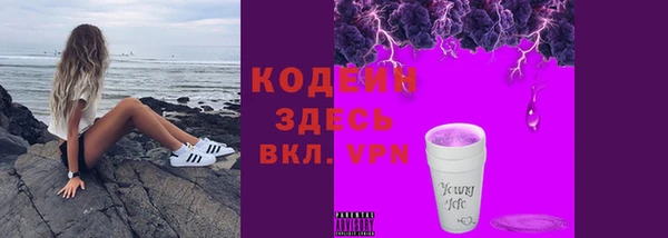 гашик Инта