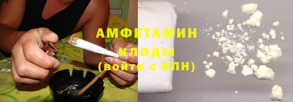 гашик Инта