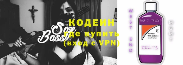 гашик Инта