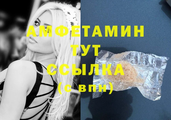 гашик Инта