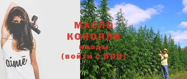 гашик Инта