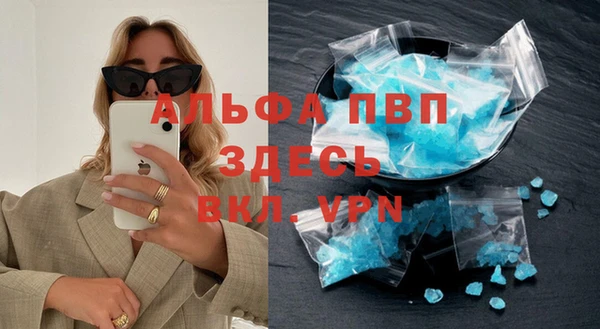 гашик Инта