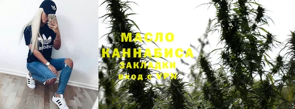 гашик Инта