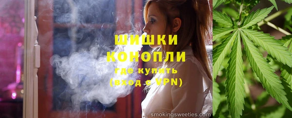 гашик Инта