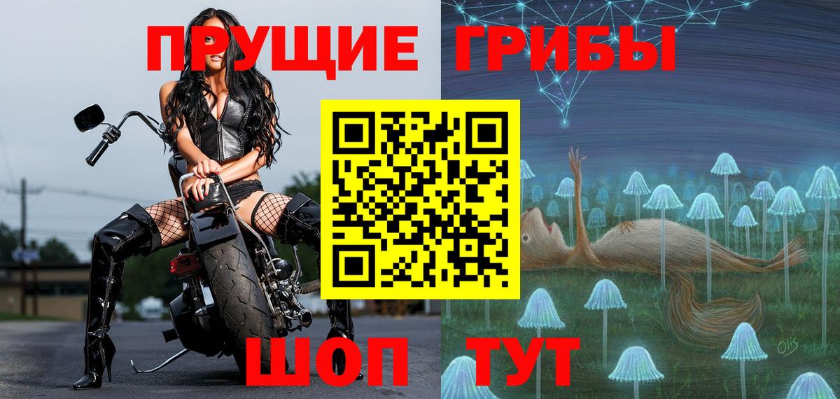 Галлюциногенные грибы GOLDEN TEACHER  Вход с VPN  Люберцы  Галлюциногенные грибы GOLDEN TEACHER 
