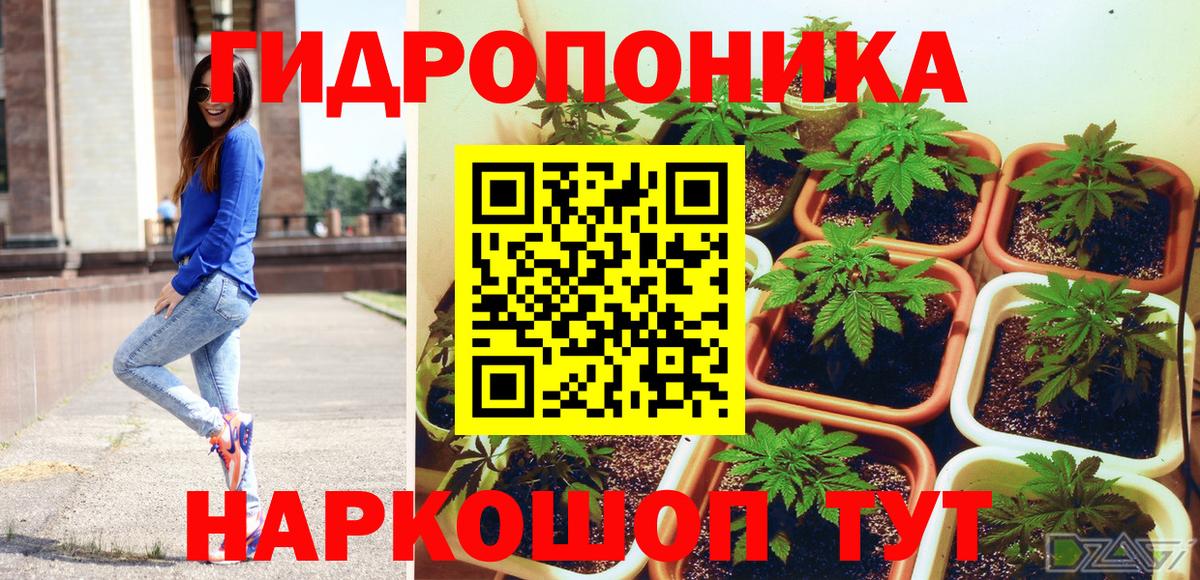Люберцы  Каннабис OG Kush  Вход с VPN  Канабис план 